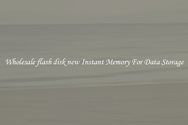 Wholesale flash disk new Instant Memory For Data Storage