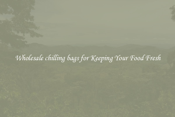 Wholesale chilling bags for Keeping Your Food Fresh