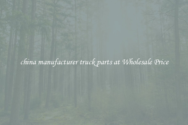 china manufacturer truck parts at Wholesale Price