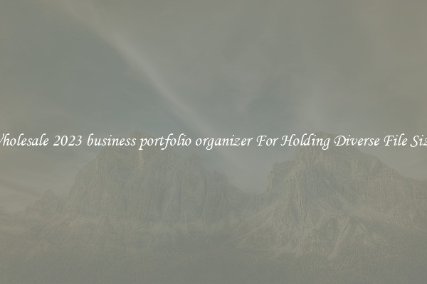 Wholesale 2023 business portfolio organizer For Holding Diverse File Sizes