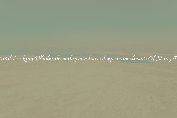 Natural Looking Wholesale malaysian loose deep wave closure Of Many Types