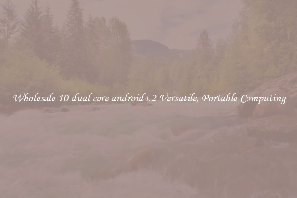 Wholesale 10 dual core android4.2 Versatile, Portable Computing