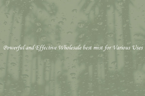 Powerful and Effective Wholesale best mist for Various Uses