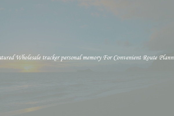 Featured Wholesale tracker personal memory For Convenient Route Planning 