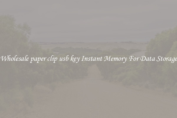Wholesale paper clip usb key Instant Memory For Data Storage