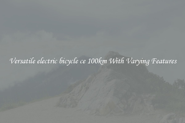 Versatile electric bicycle ce 100km With Varying Features