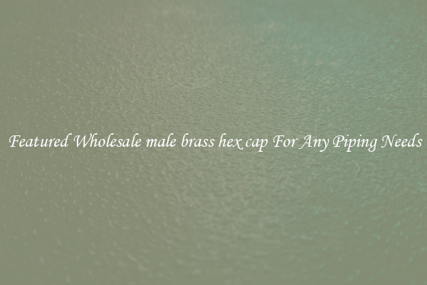 Featured Wholesale male brass hex cap For Any Piping Needs