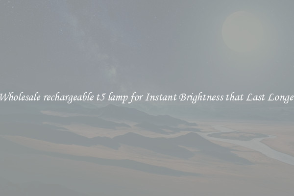 Wholesale rechargeable t5 lamp for Instant Brightness that Last Longer