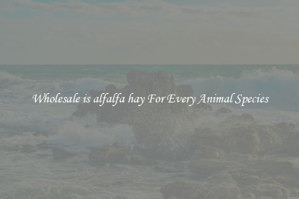 Wholesale is alfalfa hay For Every Animal Species