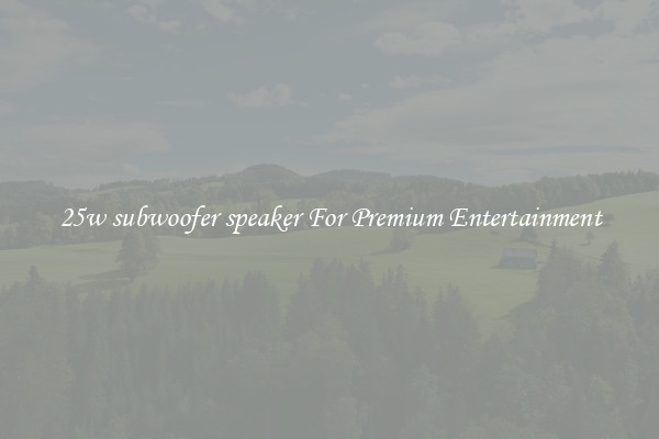 25w subwoofer speaker For Premium Entertainment