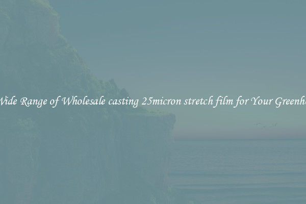 A Wide Range of Wholesale casting 25micron stretch film for Your Greenhouse