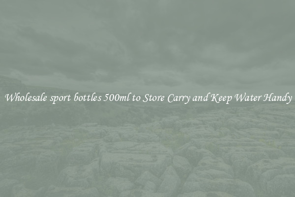Wholesale sport bottles 500ml to Store Carry and Keep Water Handy