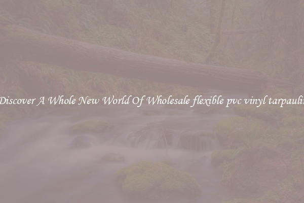 Discover A Whole New World Of Wholesale flexible pvc vinyl tarpaulin