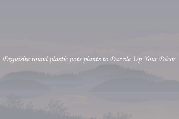 Exquisite round plastic pots plants to Dazzle Up Your Décor 