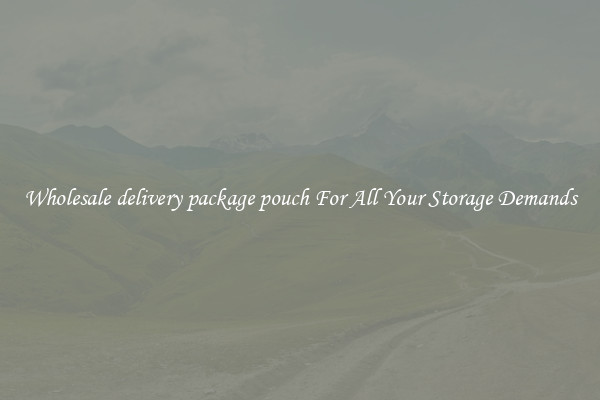 Wholesale delivery package pouch For All Your Storage Demands