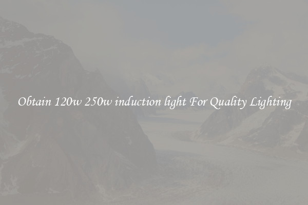 Obtain 120w 250w induction light For Quality Lighting
