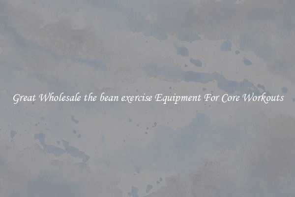 Great Wholesale the bean exercise Equipment For Core Workouts