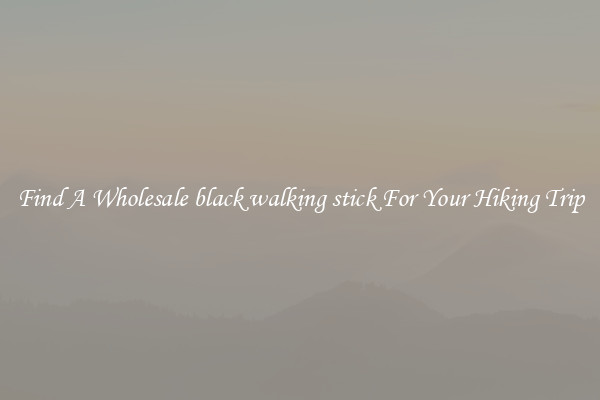 Find A Wholesale black walking stick For Your Hiking Trip