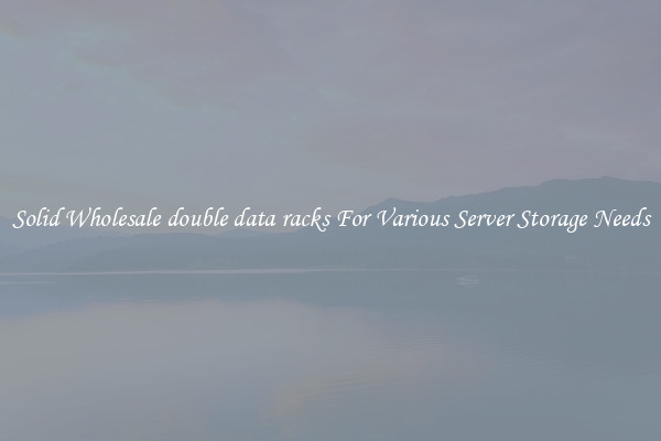 Solid Wholesale double data racks For Various Server Storage Needs