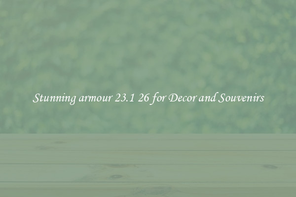 Stunning armour 23.1 26 for Decor and Souvenirs