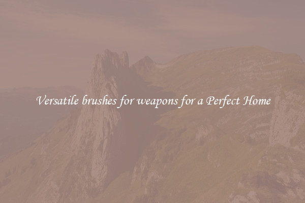 Versatile brushes for weapons for a Perfect Home