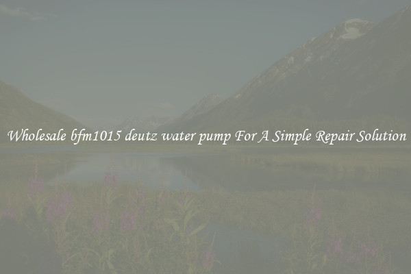 Wholesale bfm1015 deutz water pump For A Simple Repair Solution