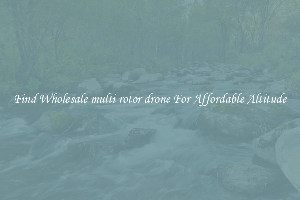 Find Wholesale multi rotor drone For Affordable Altitude